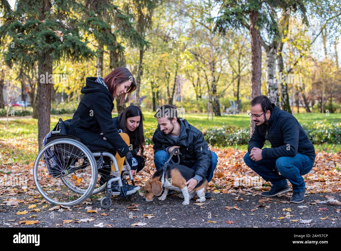 Young disabled woman in a wheelchair playing with dog and friends in nature Stock Photo