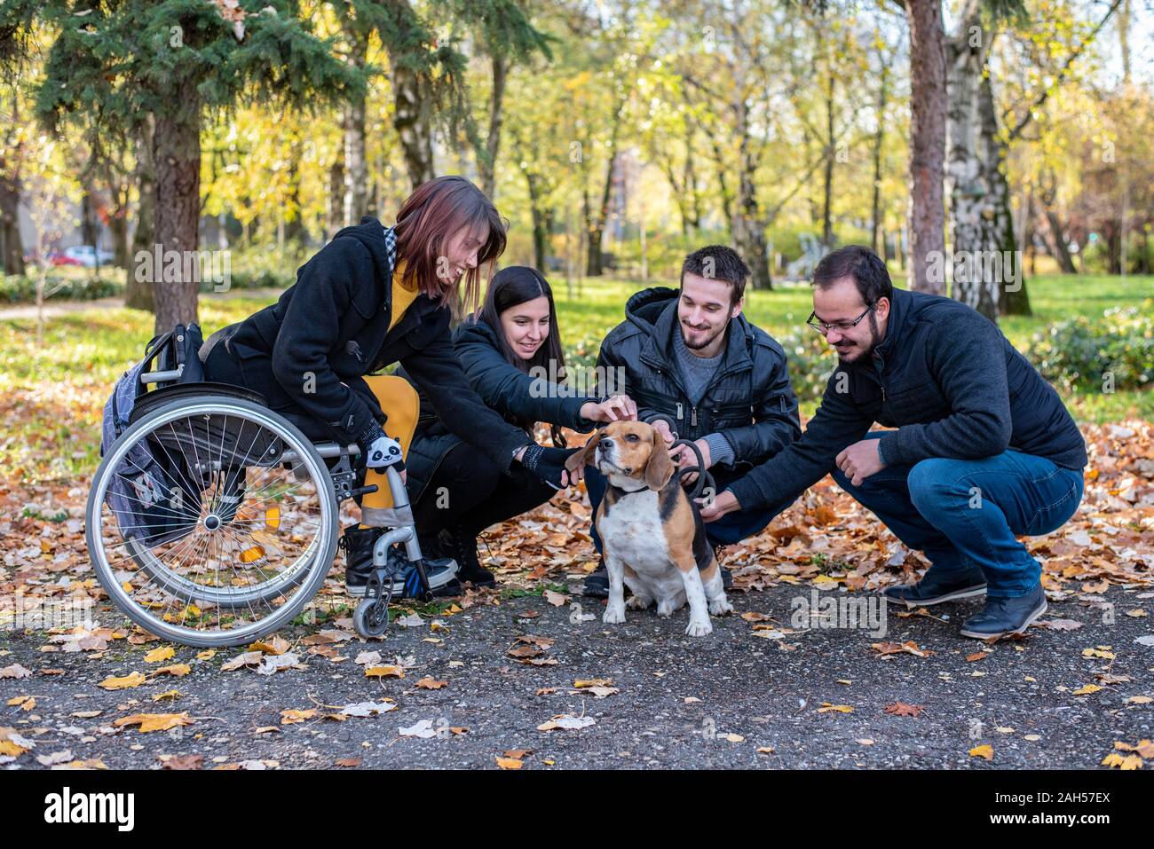 Young disabled woman in a wheelchair playing with dog and friends in nature Stock Photo