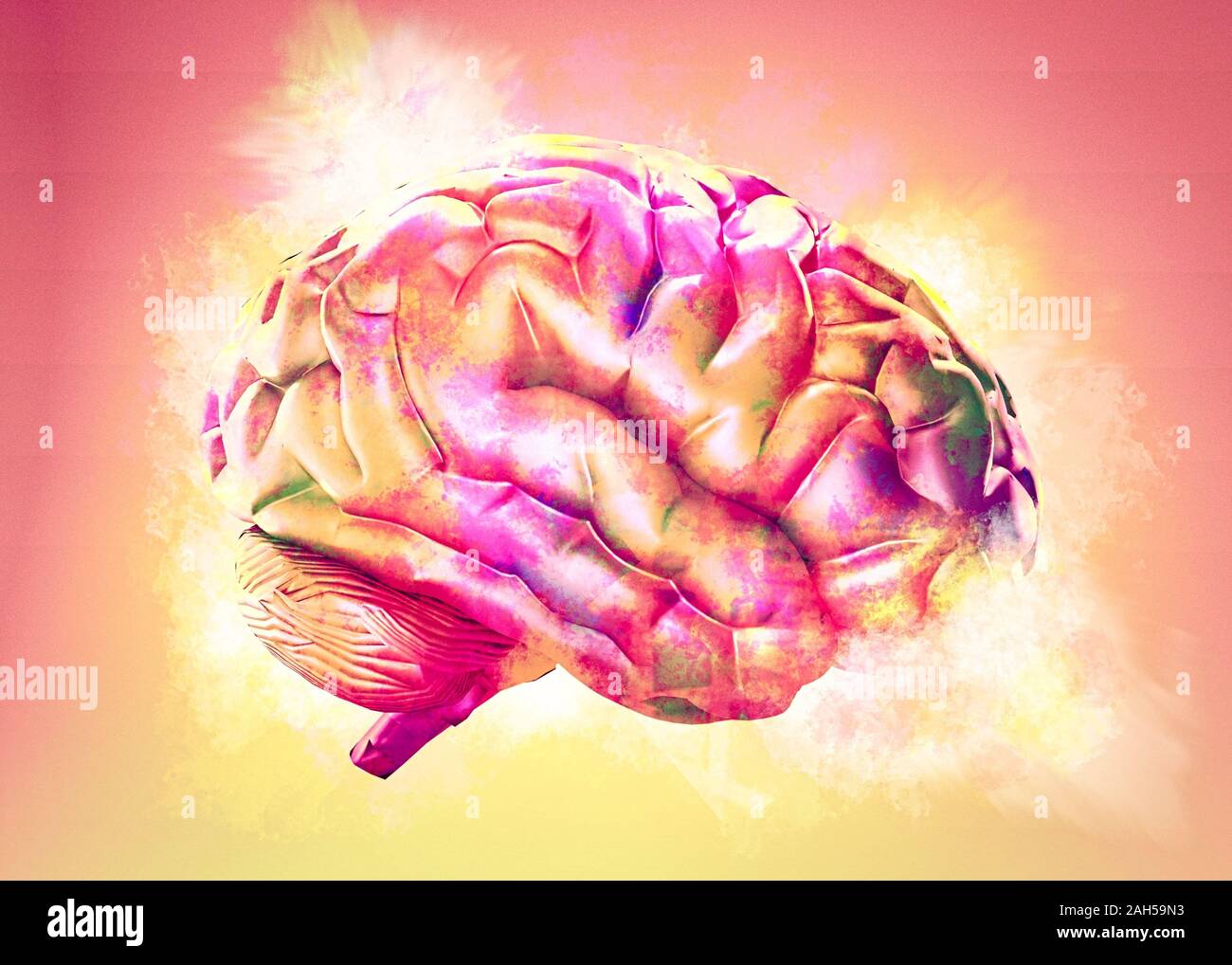 Colored brains. Разноцветный мозг. Разноцветный мозг лицо. Разноцветный мозг картинки. Разноцветный мозг на белом фоне.