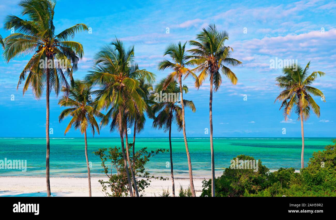 A view of the paradise that is Zanzibar Stock Photo