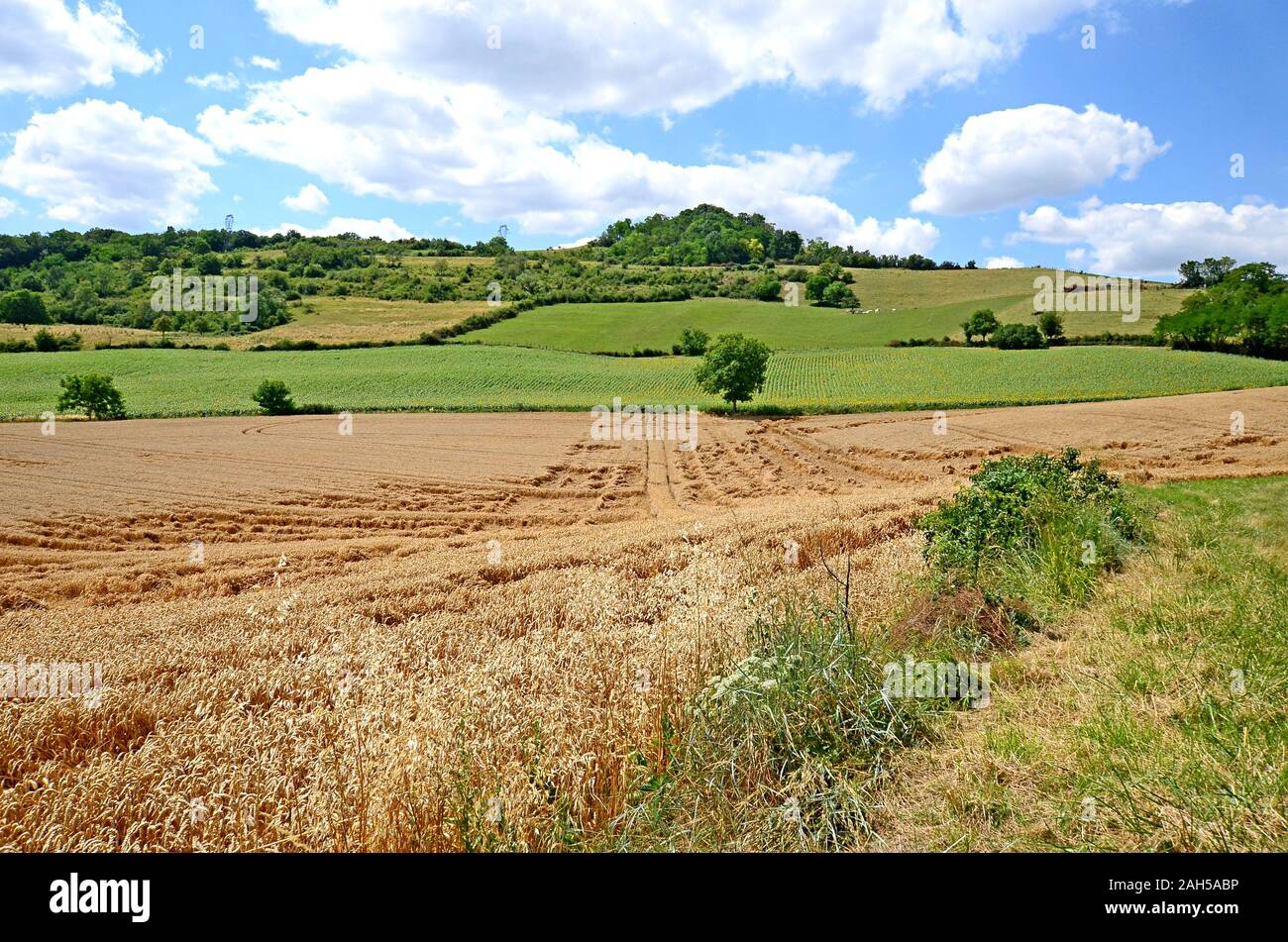 Beautiful rural landscape with blue sky, spectacular clouds and wheat fields in Auvergne region in France Stock Photo