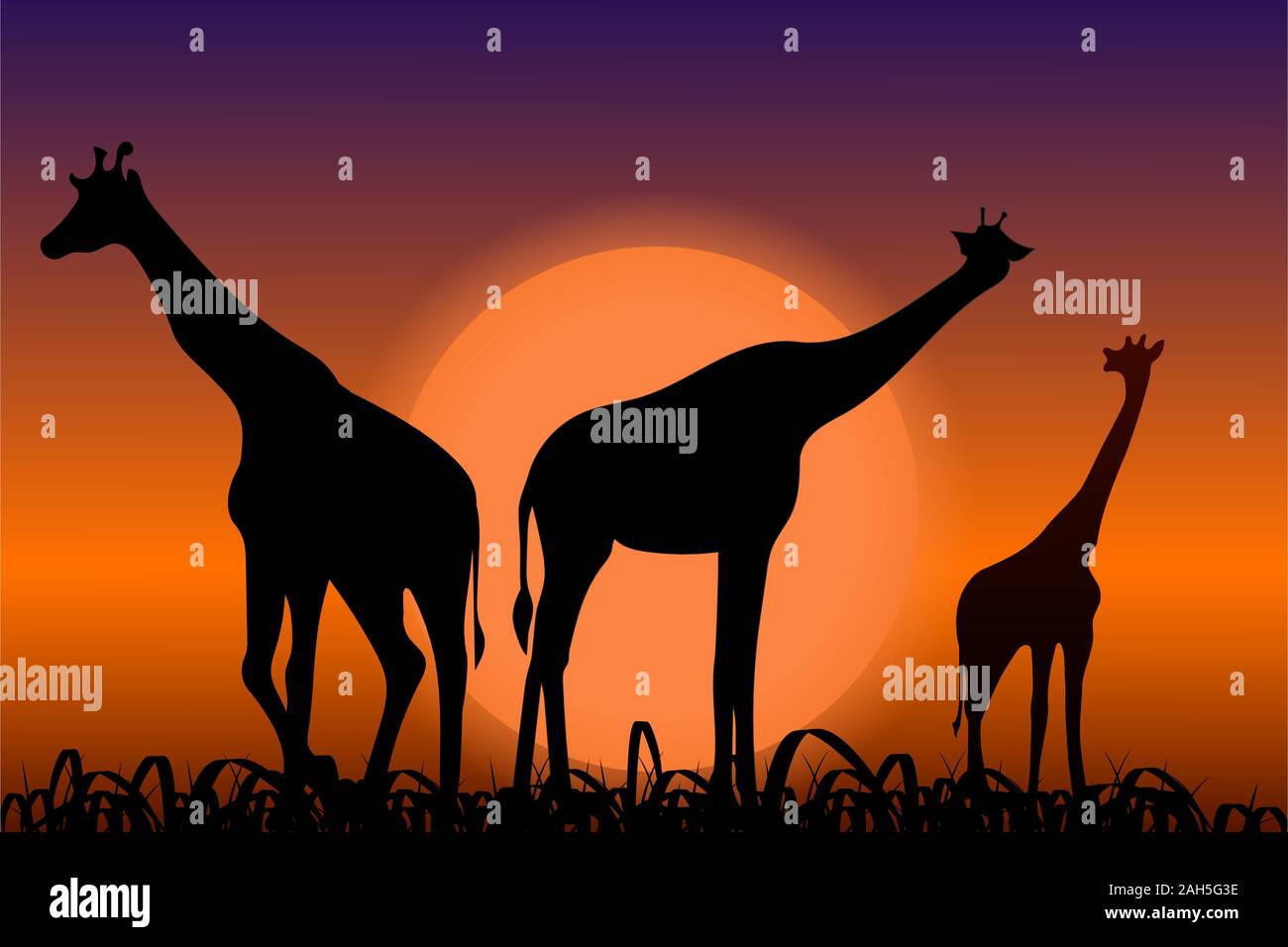 Giraffes. Back silhouettes in sunset Stock Vector