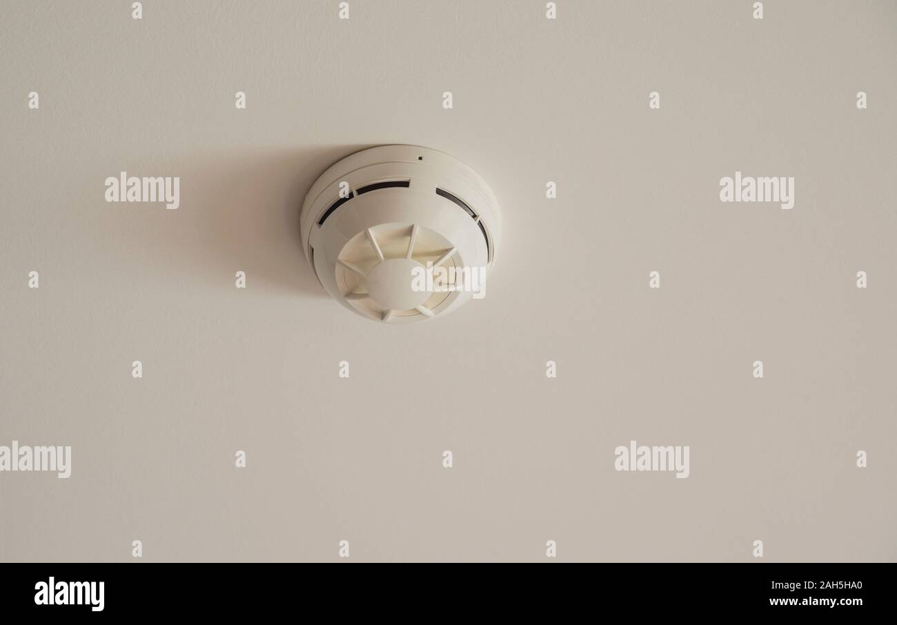Fire alarm and sprinkler on the white ceiling Stock Photo - Alamy