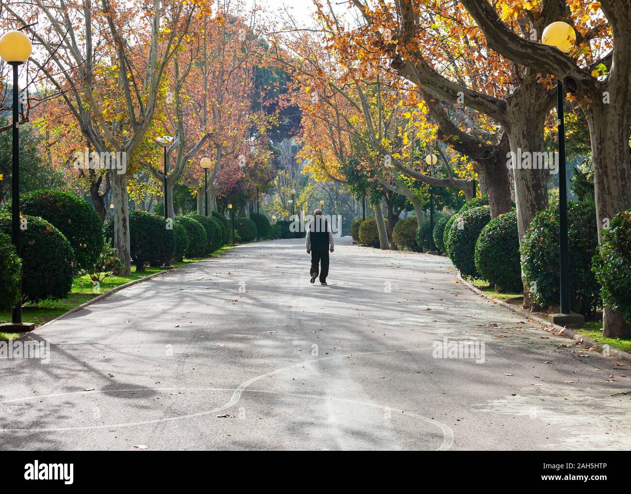 Elderly people walking in a park hi-res stock photography and images ...