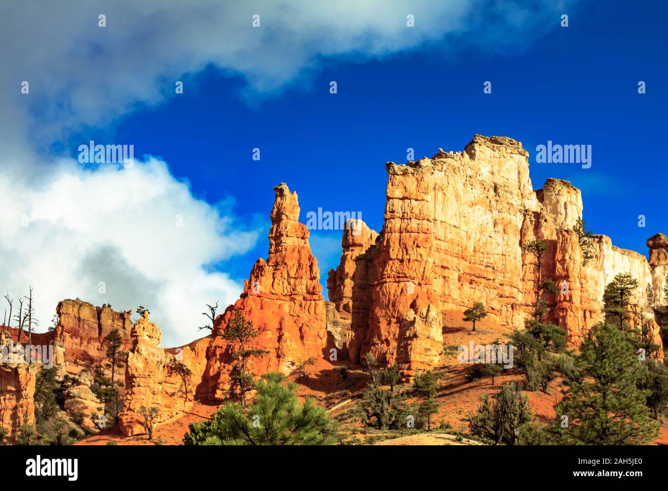 Made in USA, USA, Reisefotographie, Bryce Canyon Stock Photo