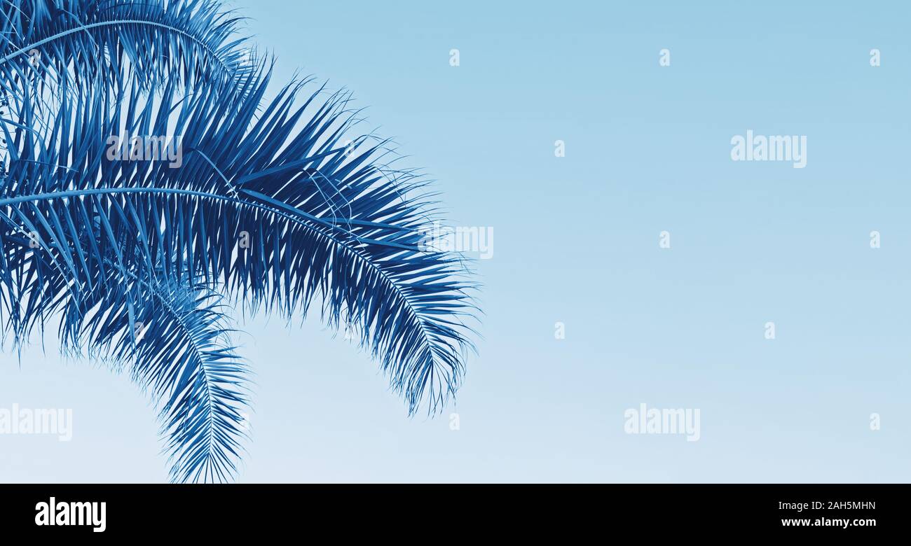 Spring Break Stock Photos Spring Break Stock Images Page 2 Alamy