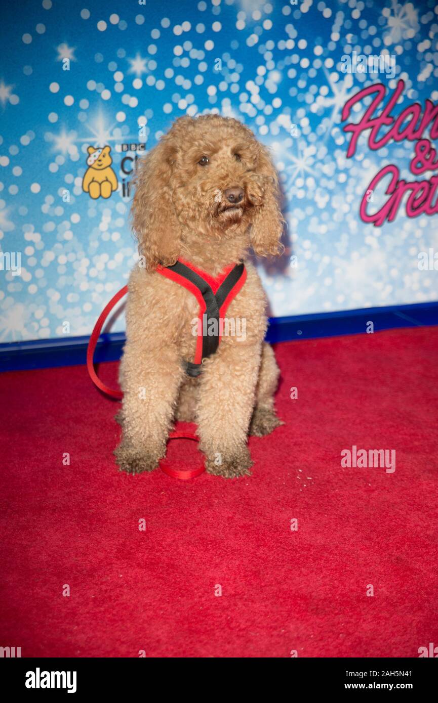 waffle the wonder dog toy