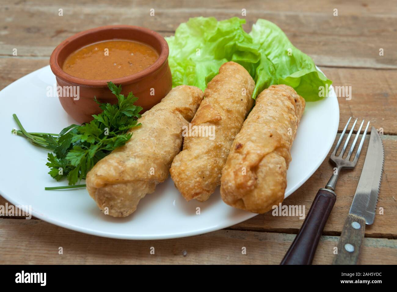 Chicken roll with sauce and vegetables Stock Photo