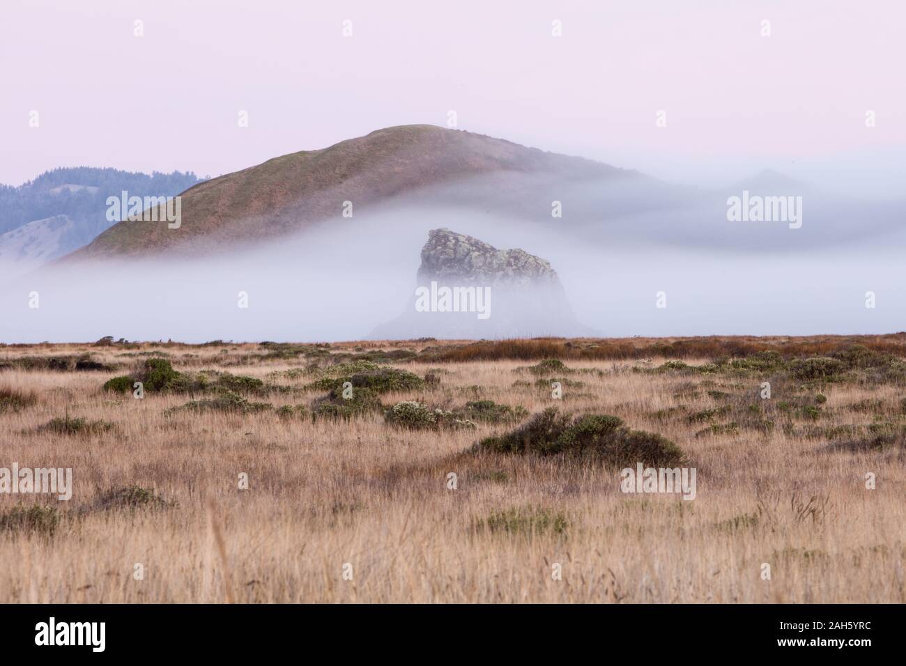 Morning mist flows over the rugged landscape of northern California in Sonoma. This scenic region is often covered by a thick marine layer of mist. Stock Photo