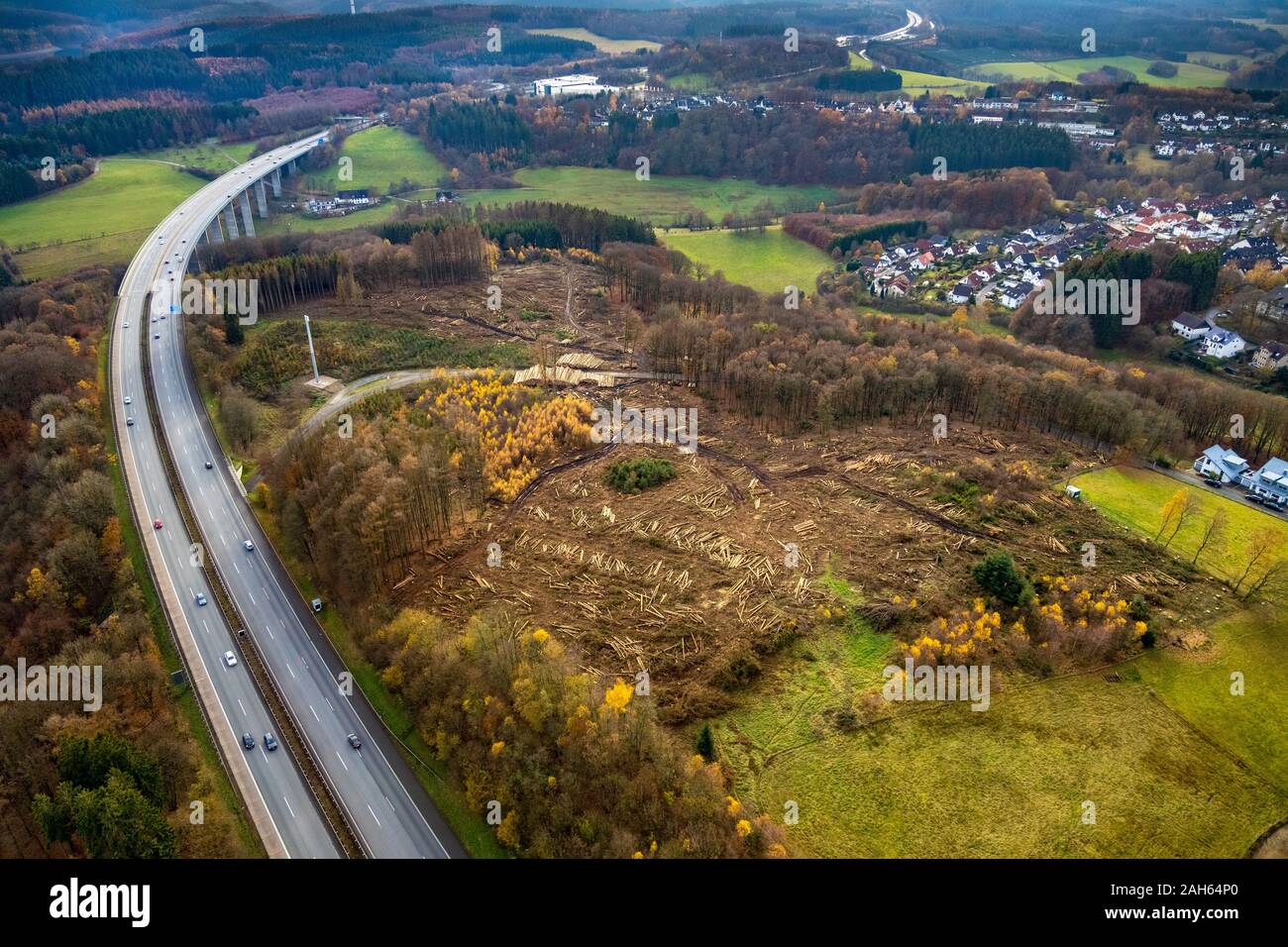 Aerial photo, Autobahn A45 forest damage near Lüdenscheid-Süd, Lüdenscheid, Märkischer Kreis, Sauerland, North Rhine-Westphalia, Germany, deforestatio Stock Photo