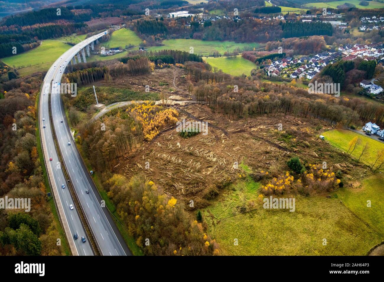 Aerial photo, Autobahn A45 forest damage near Lüdenscheid-Süd, Lüdenscheid, Märkischer Kreis, Sauerland, North Rhine-Westphalia, Germany, deforestatio Stock Photo