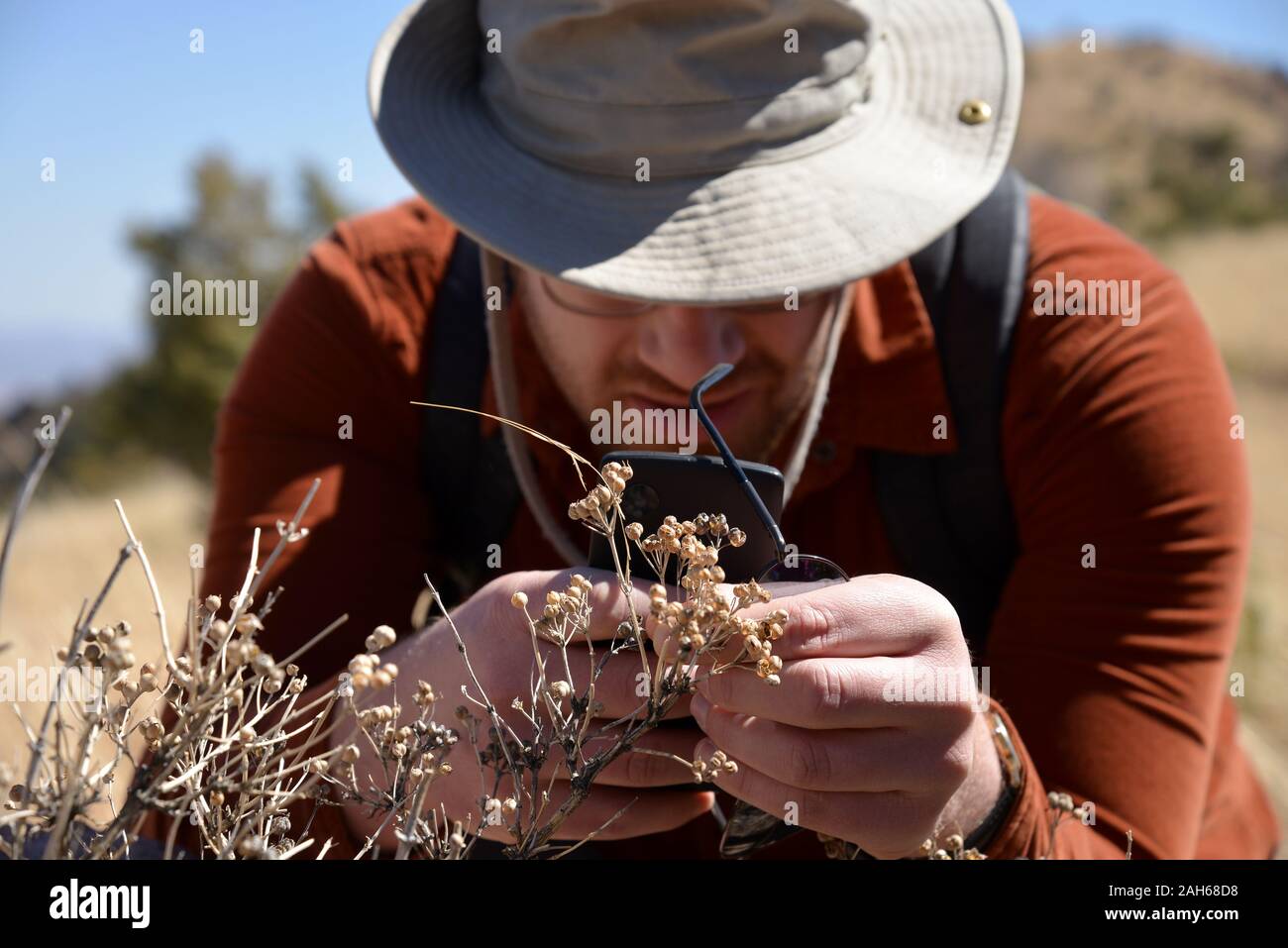 Using the iNaturalist app to identify plants at Border BioBlitz