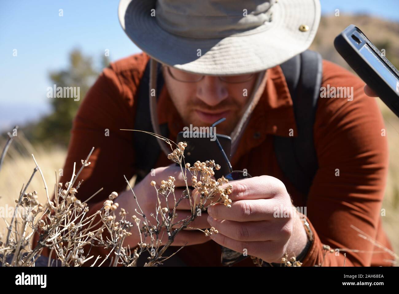 Using the iNaturalist app to identify plants at Border BioBlitz