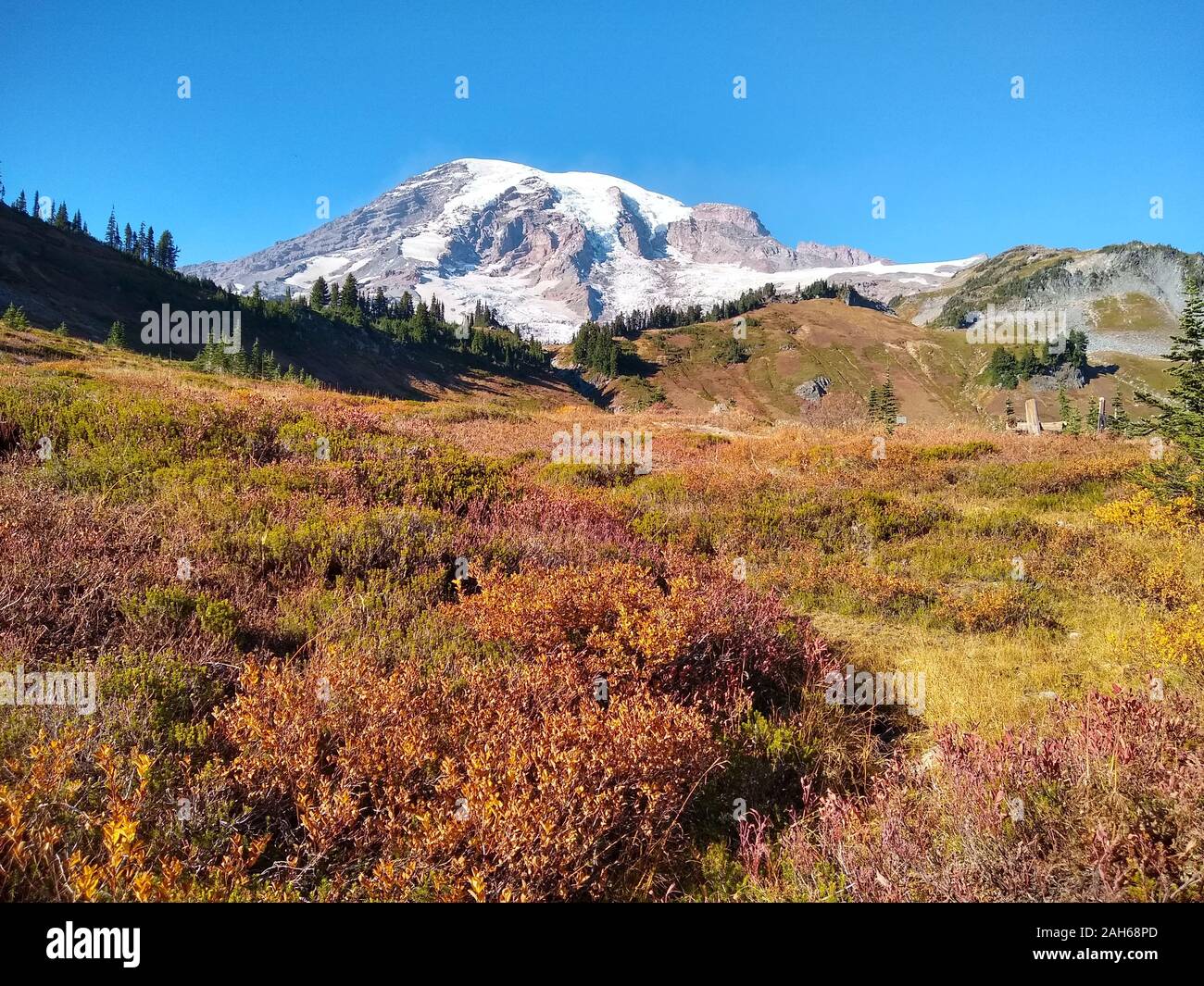 Mt. Rainier view with fall colors Stock Photo - Alamy