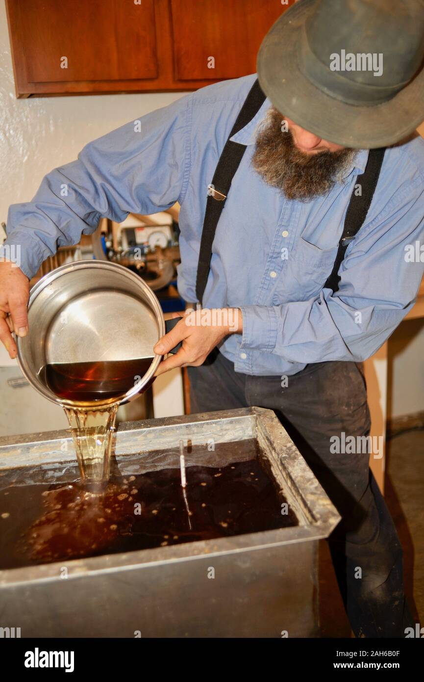 Making maple syrup by tapping maple trees, collecting sap, boiling sap ...