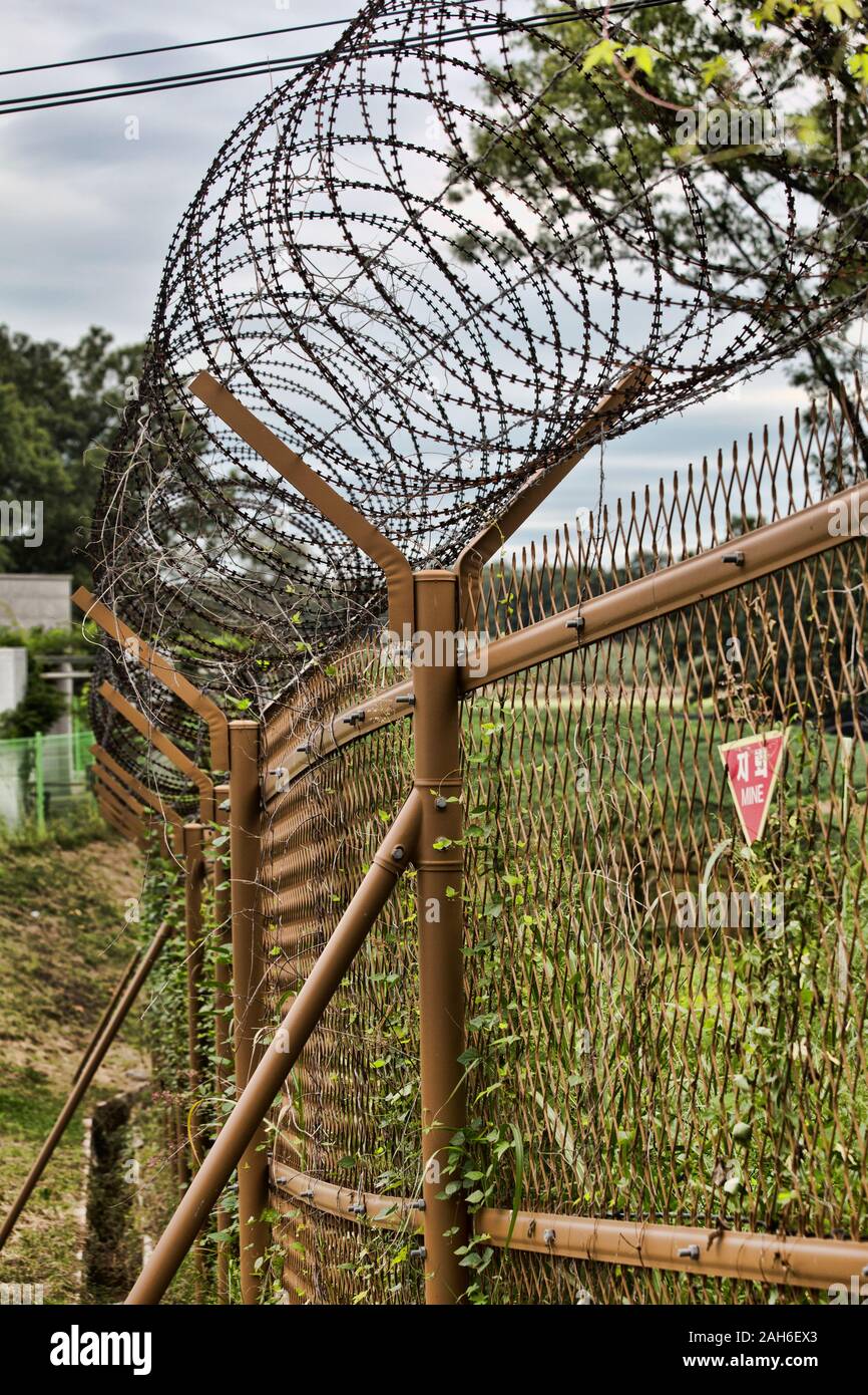 Concertina wire at the DMZ, Korea Stock Photo