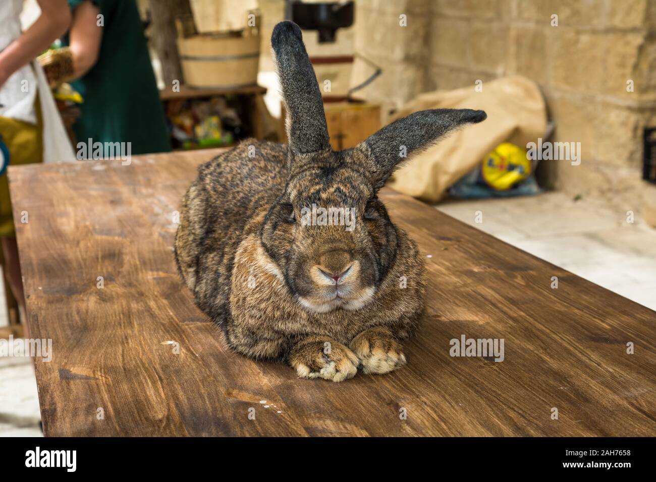 Medieval Mdina 2017 Stock Photo - Alamy
