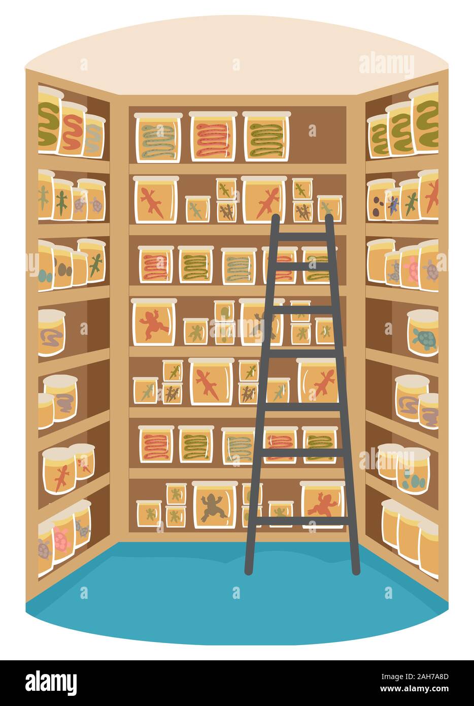Illustration of a Herpetology Lab with a Ladder and Shelves Full of Jars and Specimen Stock Photo