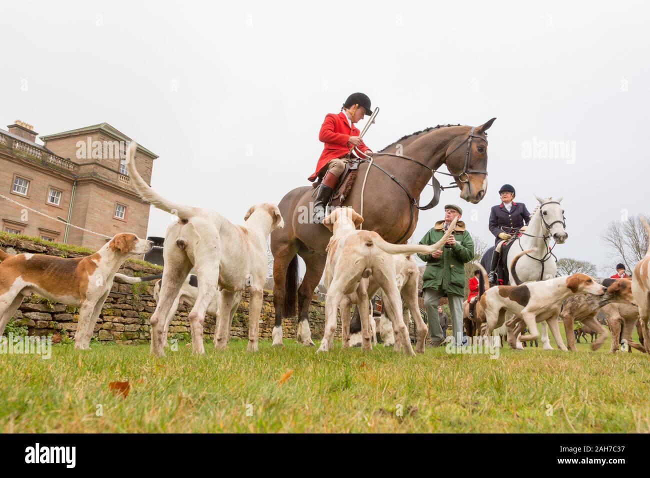 Hagley, Worcestershire, UK. 26th December 2019. The Albrighton and Woodland Hunt gathers at Hagley Hall on Boxing Day for its traditional annual meet. Peter Lopeman/Alamy Live News Stock Photo