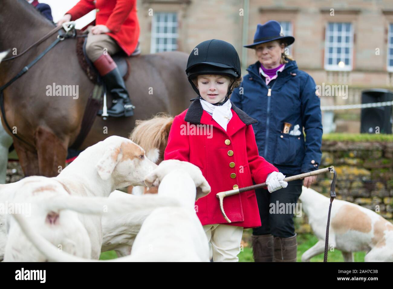 Hagley, Worcestershire, UK. 26th December 2019. 6-year-old Henley Mills gets attention from the hounds as the Albrighton and Woodland Hunt gathers at Hagley Hall on Boxing Day for its traditional annual meet. Peter Lopeman/Alamy Live News Stock Photo