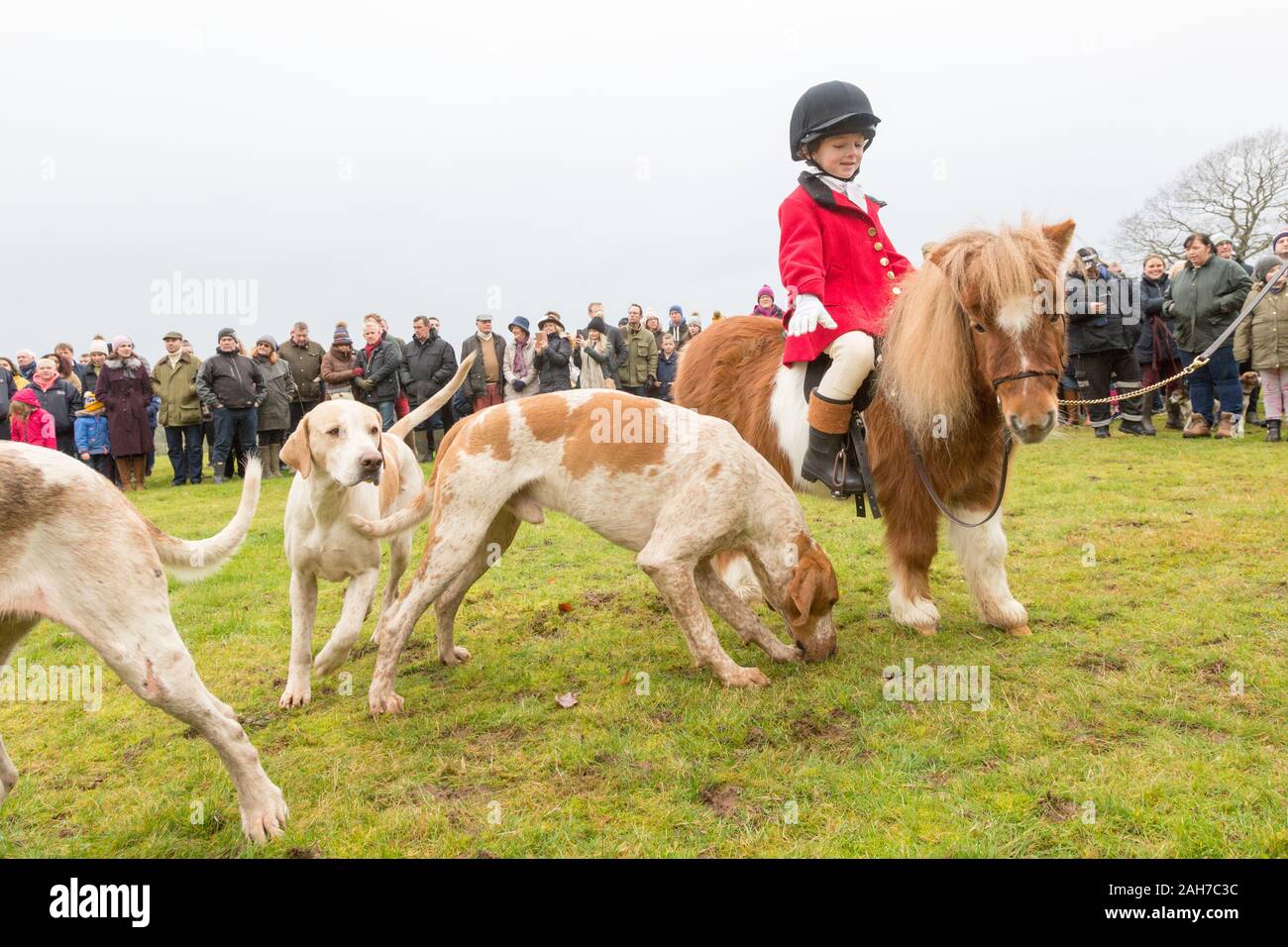 Hagley, Worcestershire, UK. 26th December 2019. 6-year-old Henley Mills on his pony Radish as the Albrighton and Woodland Hunt gathers at Hagley Hall on Boxing Day for its traditional annual meet. Peter Lopeman/Alamy Live News Stock Photo