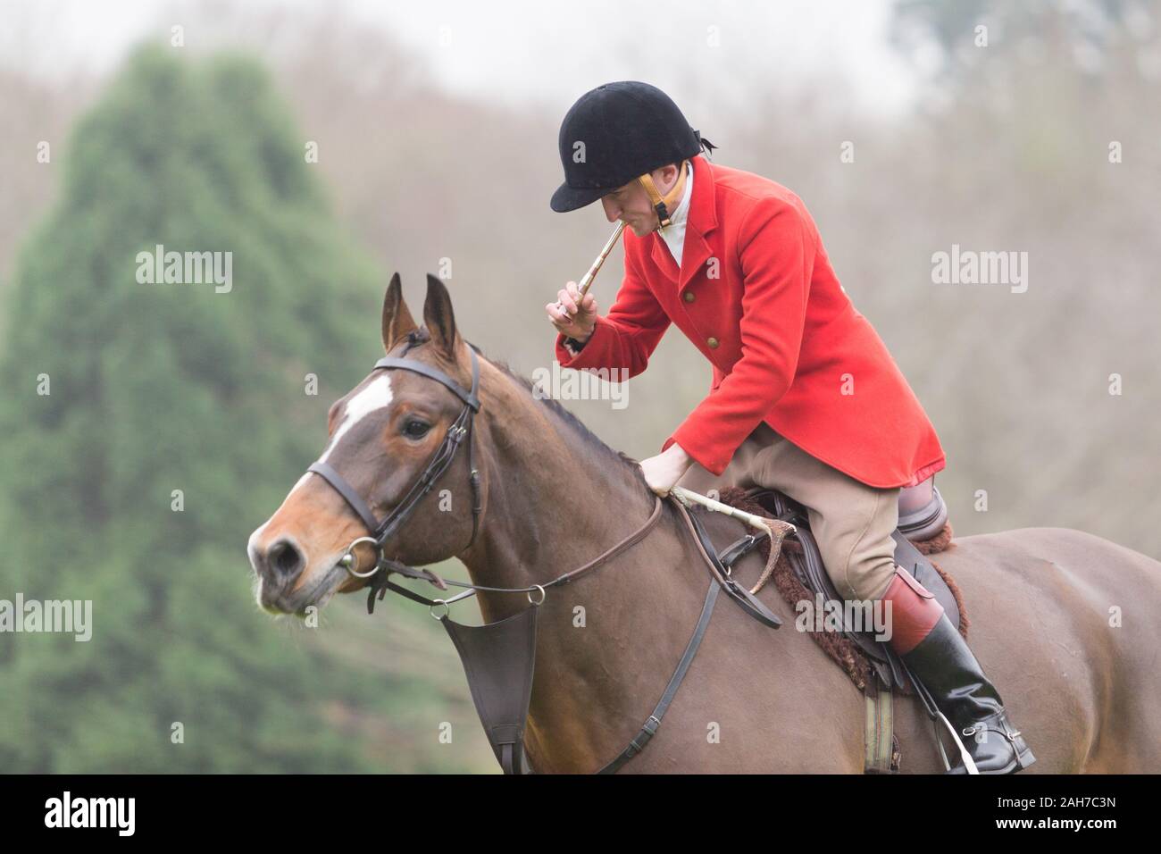 Hagley, Worcestershire, UK. 26th December 2019. The Albrighton and Woodland Hunt meets at Hagley Hall on Boxing Day for its traditional annual meet. Peter Lopeman/Alamy Live News Stock Photo