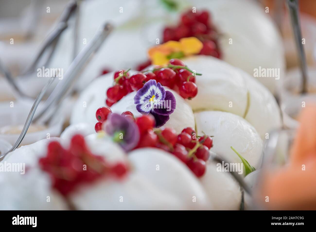 A gourmet composition consisting in row of loaves of mozzarella cheese topped with berries and flowers Stock Photo