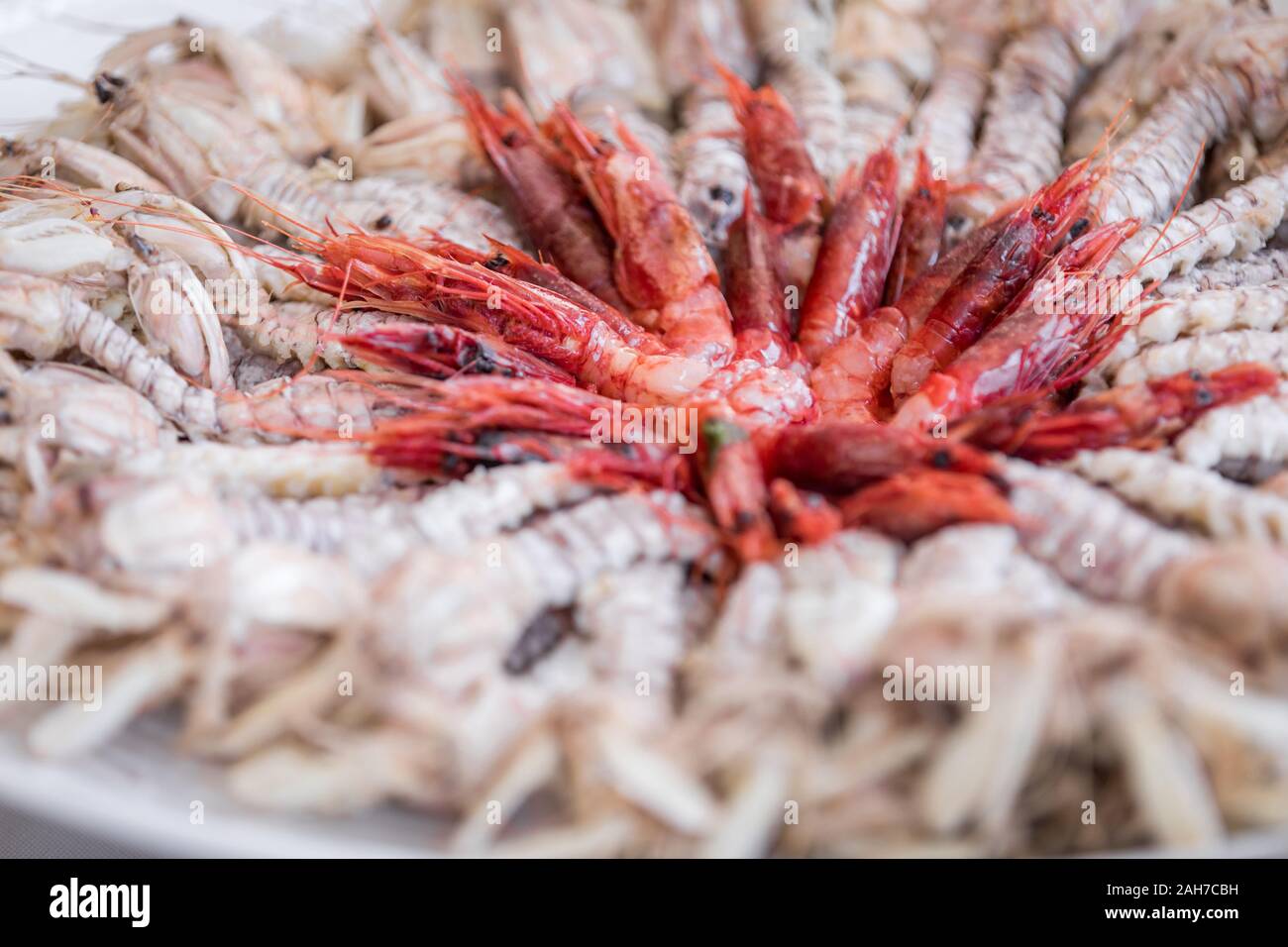 Close up of a food composition made of red prawns in the middle, and slipper lobsters all around Stock Photo