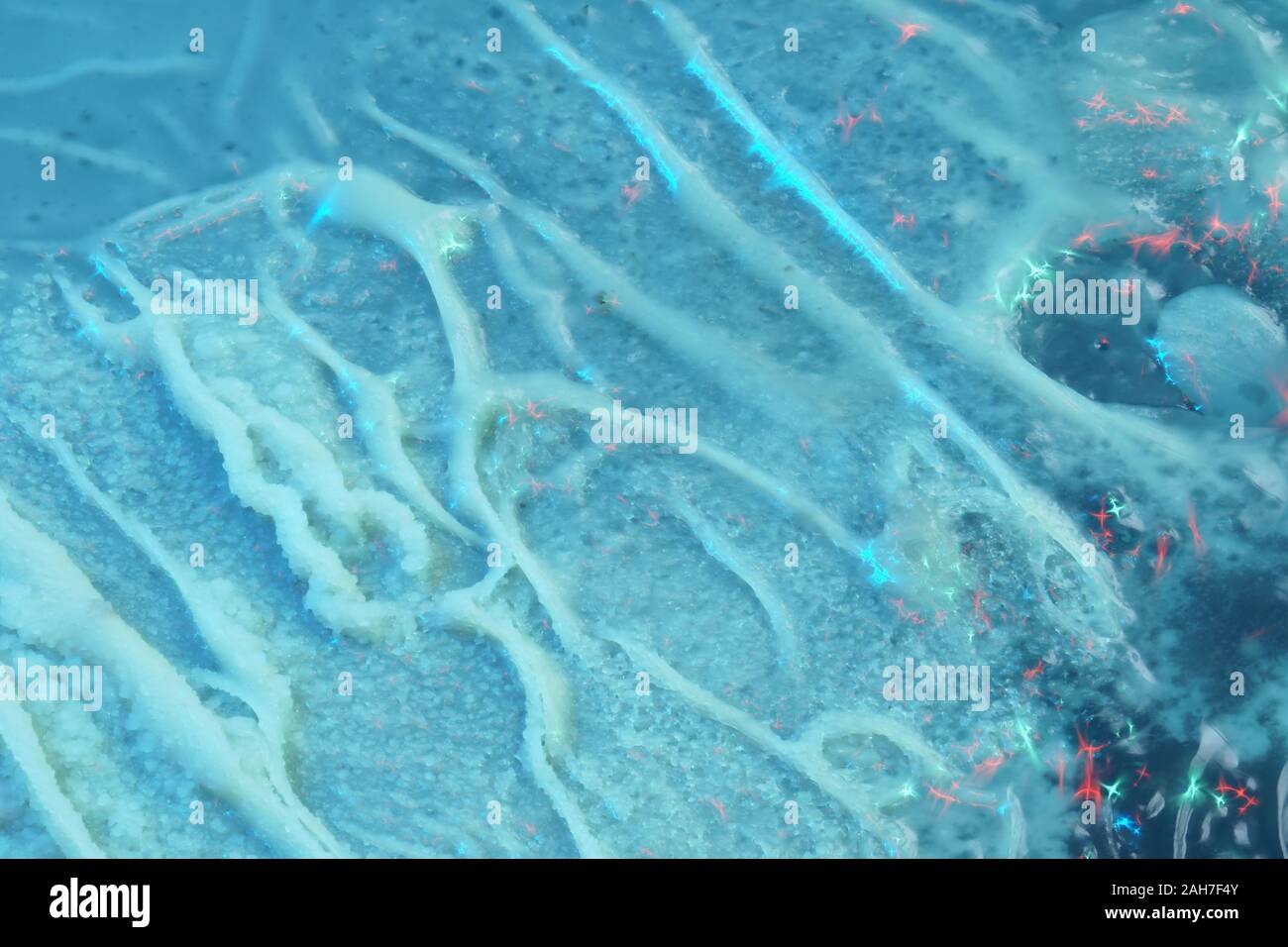 Mold fungal colonies on spoiled food Stock Photo - Alamy