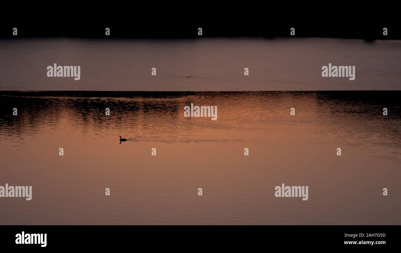 Reflexions on a small lake in the winter season, Germany. Stock Photo