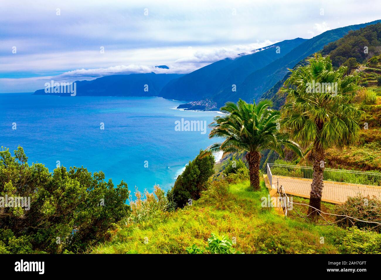 View of the coastline and palm trees in Madeira, Portugal Stock Photo