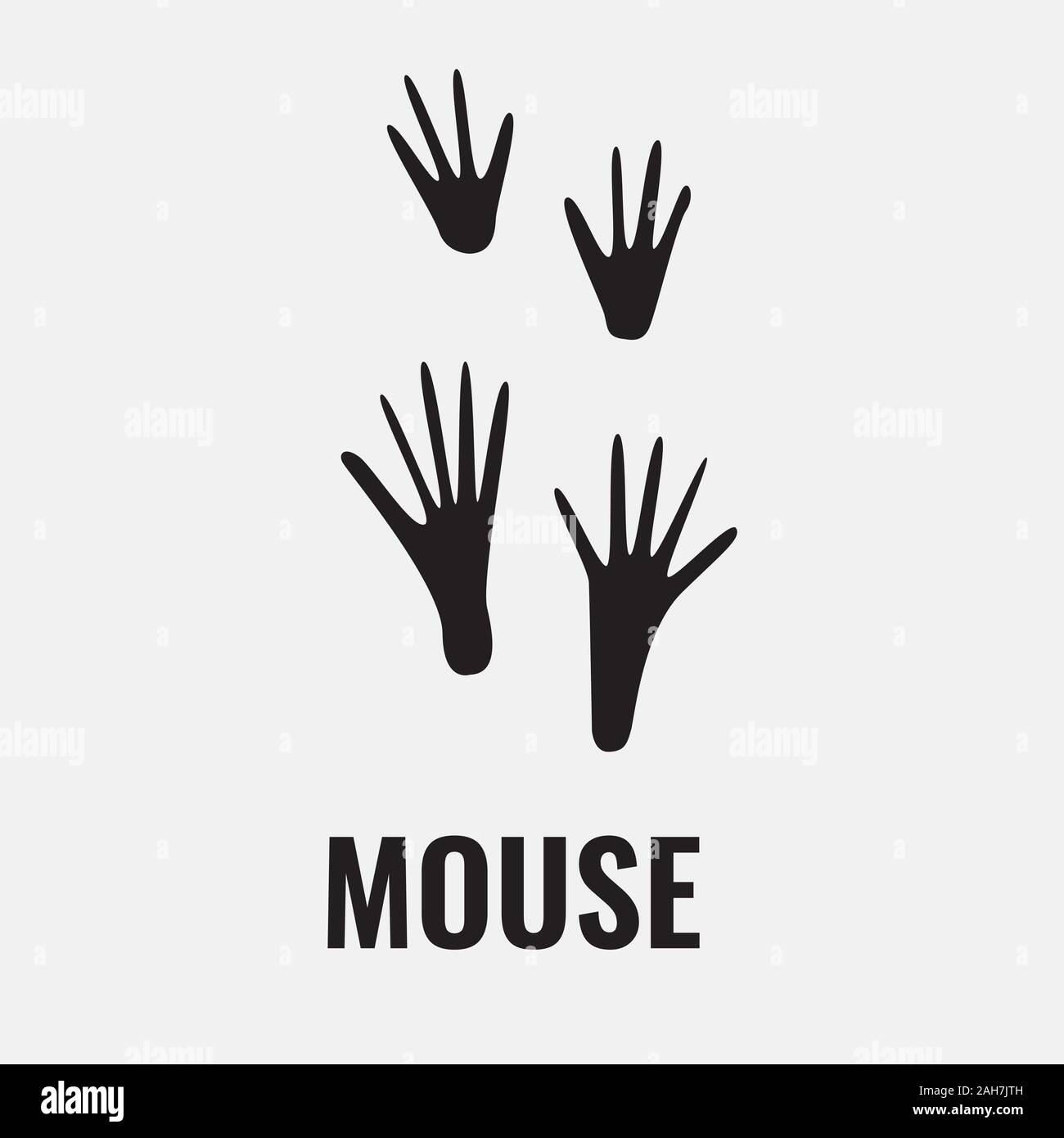 Rat or mouse footprint trail. Front and back footprints. Vector