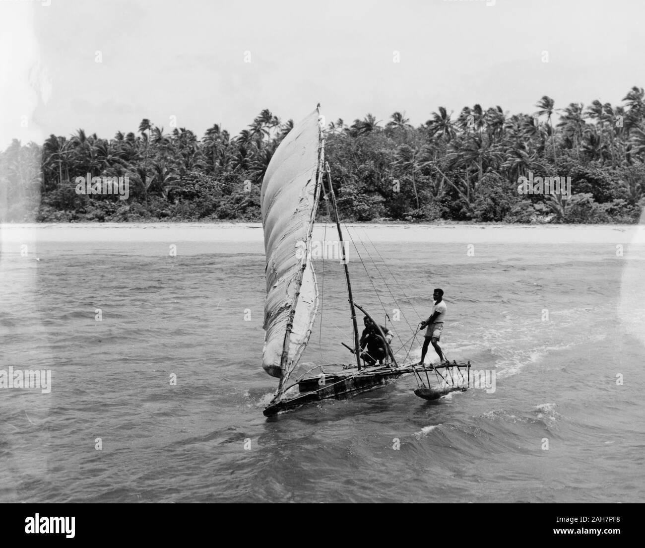 Fiji, Manning a Fijian 'drua'. A 'drua' (Fijian catamaran) scuds across the waves away from a beach flanked by palm forest. Caption reads: Although this an ordinary sailing canoe, the Fijians used to build great 'Drua', catamarans which were capable of carrying more than two hundred men and cargoes, 1965. 2005/010/1/14/18. Stock Photo