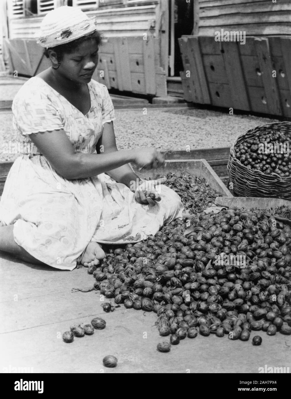 Grenadremoving hires stock photography and images Alamy