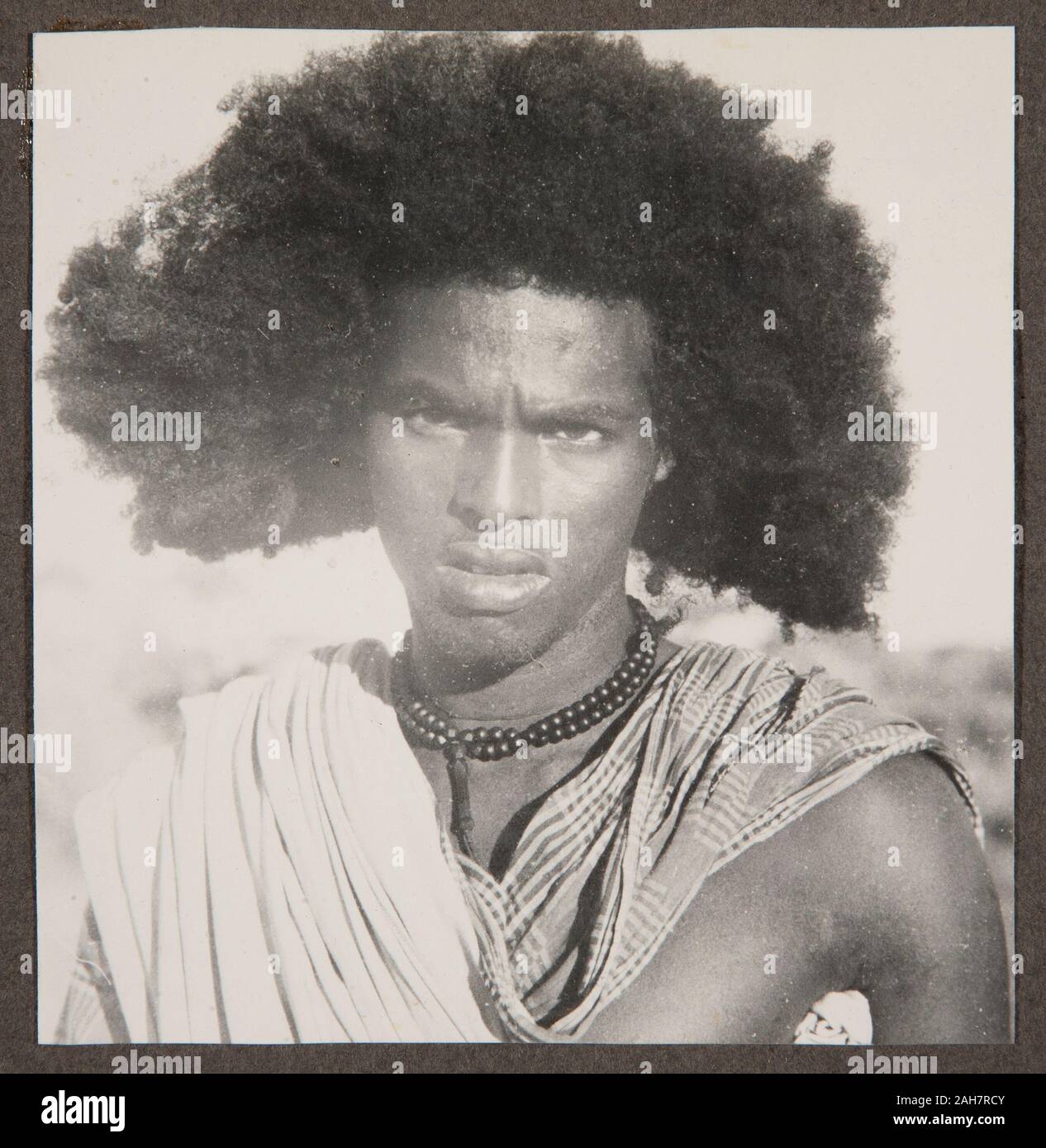 Beni Amer High Resolution Stock Photography And Images Alamy Beni Amer High Resolution Stock Photography And Images Alamy