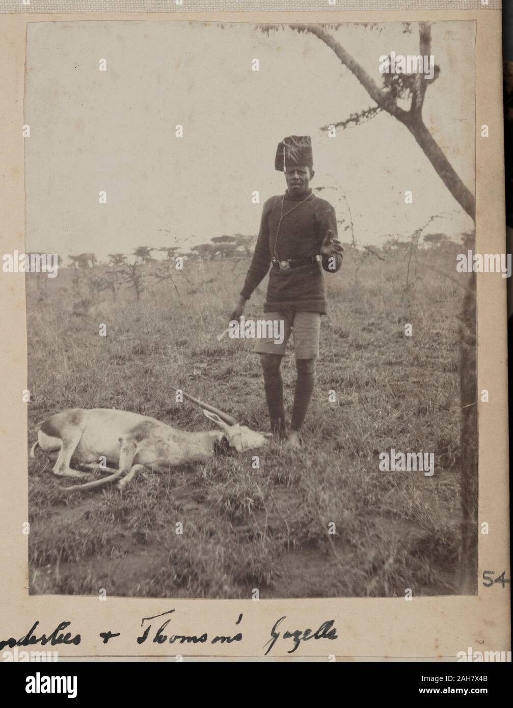 Kenya, Uniformed man standing by dead gazelle Original manuscript caption: One of my orderlies + Thomson's Gazelle, circa 1910. 2005/078/1/54. Stock Photo