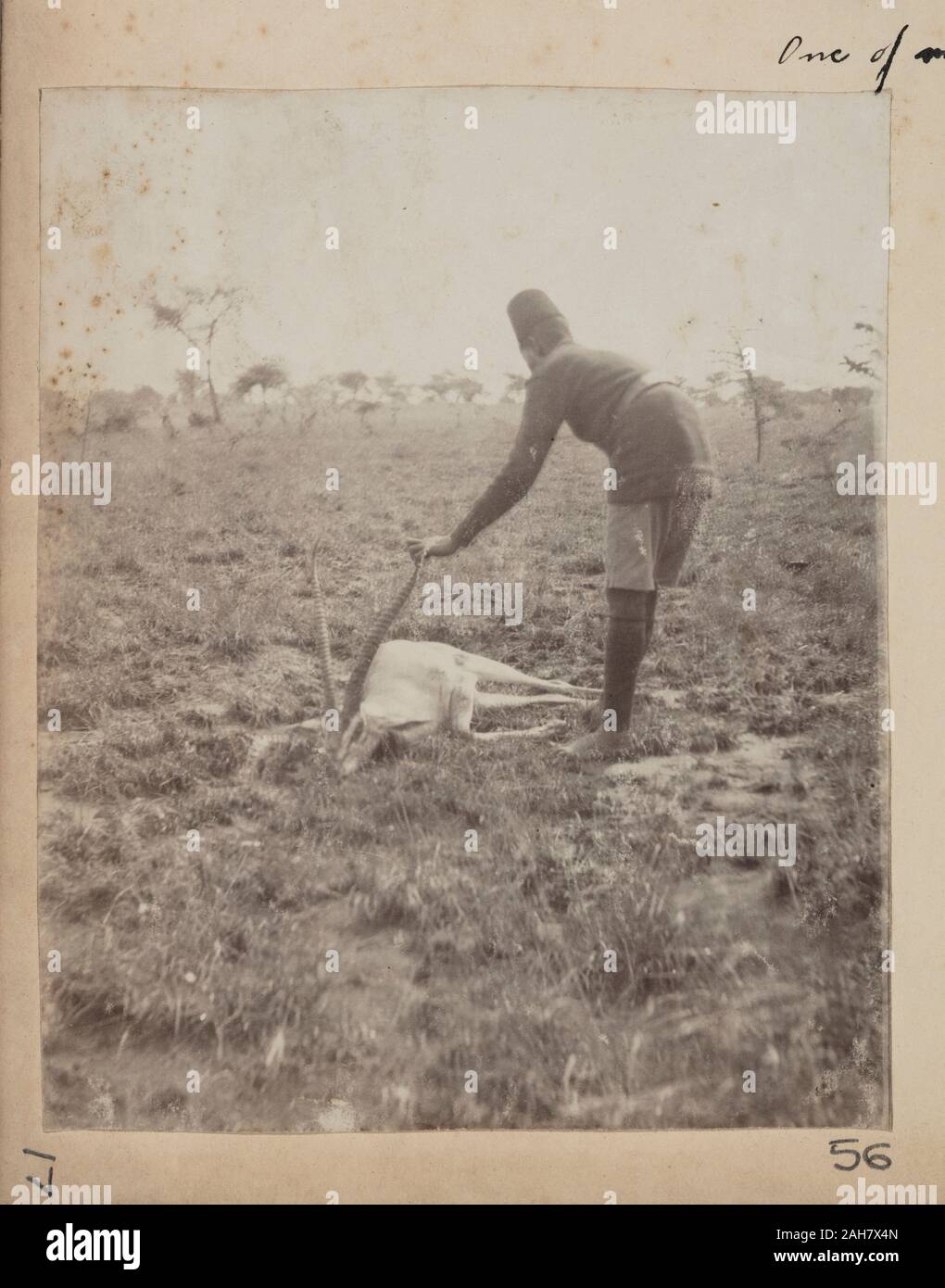 Kenya, Uniformed man standing by dead gazelle Original manuscript caption: One of my orderlies + Thomson's Gazelle, circa 1910. 2005/078/1/56. Stock Photo