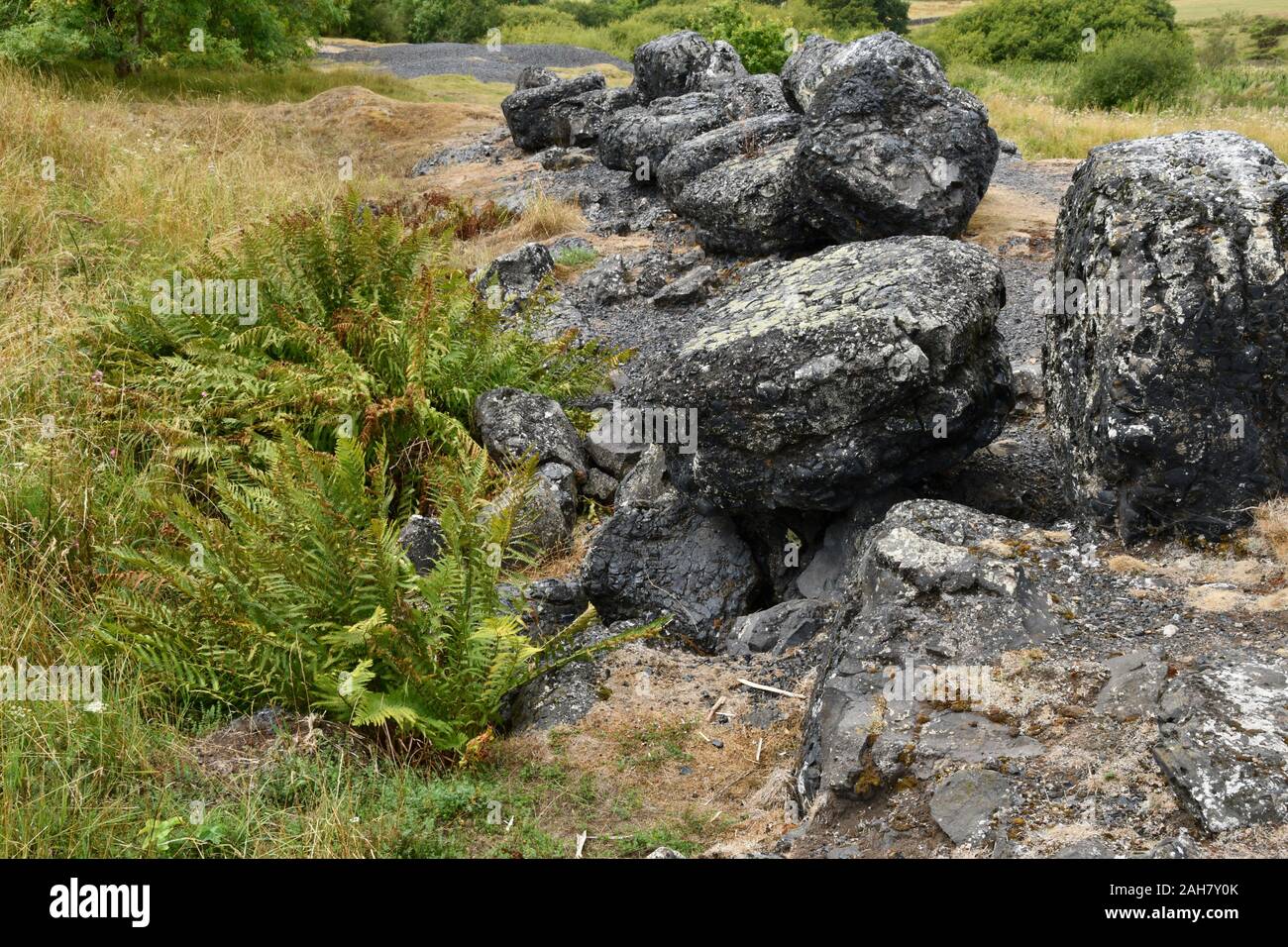 Slag boulders from the old Roman and Victorian lead mine workings near Charterhouse on the Mendip Hills in Somerset. Stock Photo