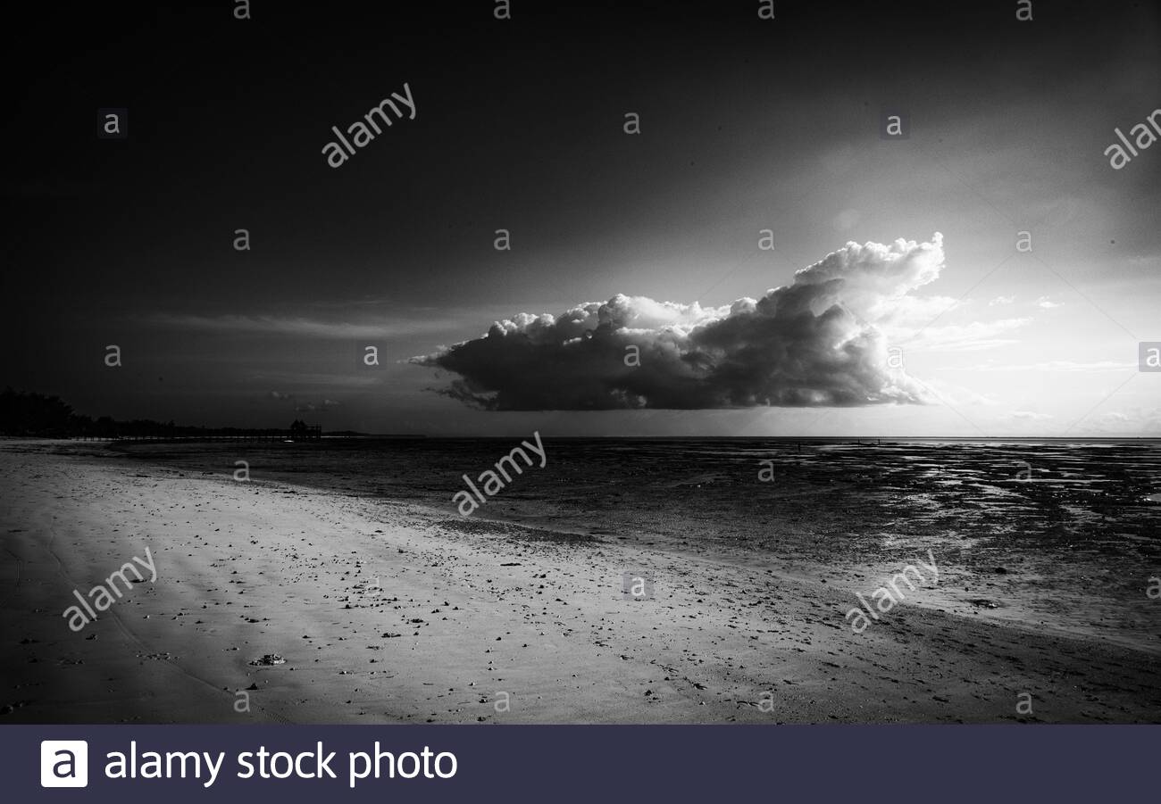 Zanzibar Black and White Stock Photos & Images - Alamy