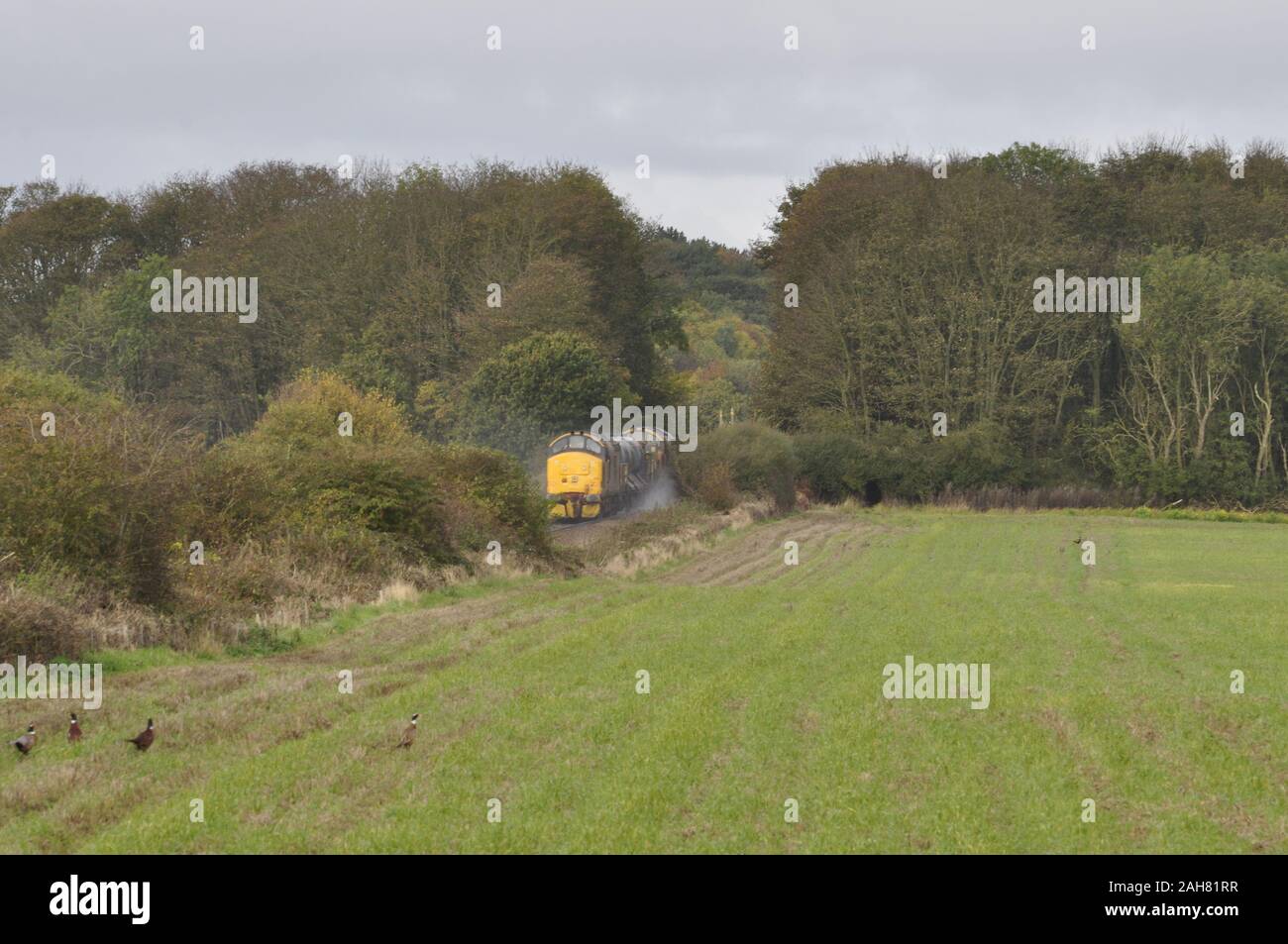 A goods train near Northrepps on the line to Cromer and Sheringham, north Norfolk, England, UK Stock Photo