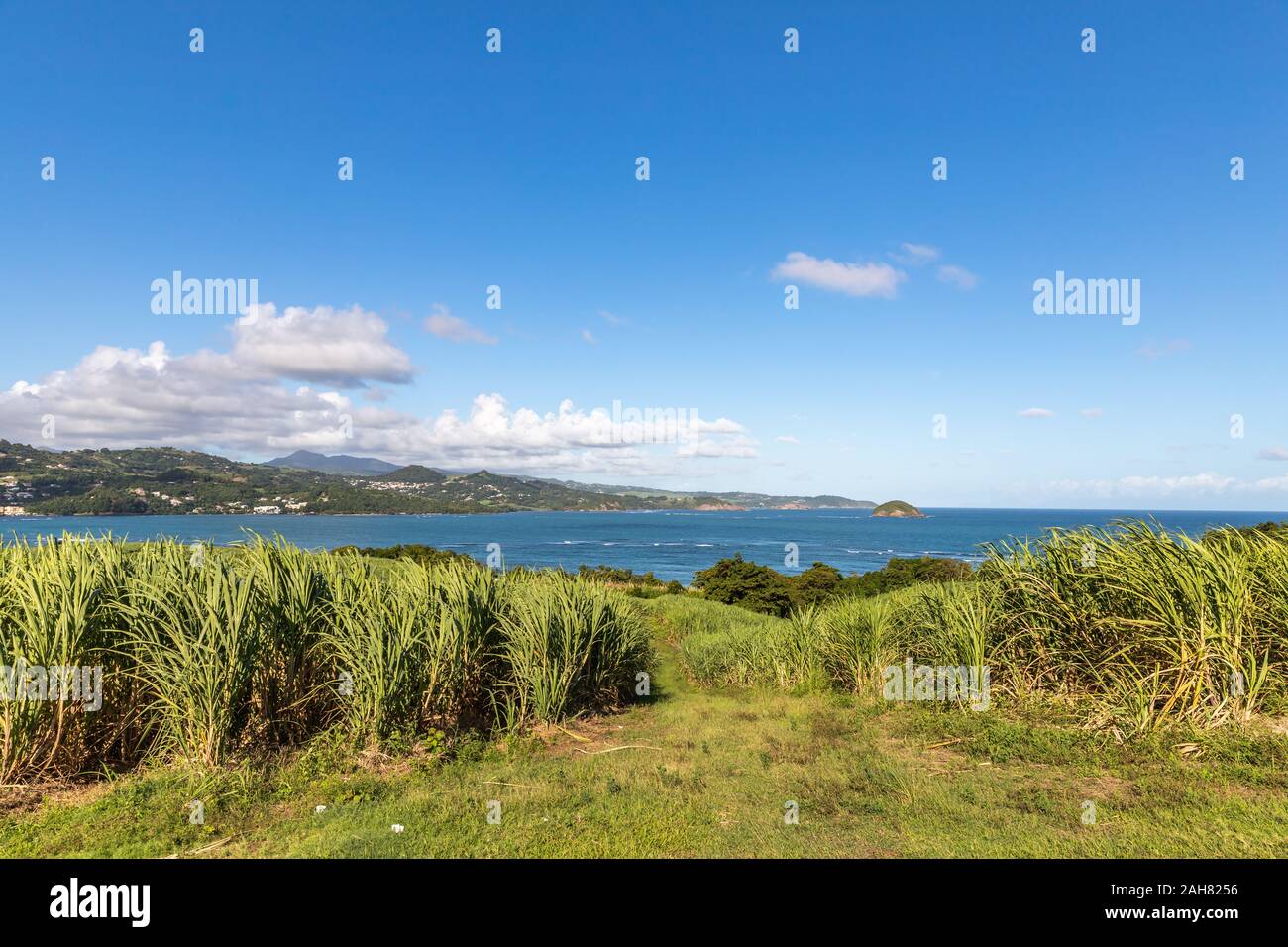 View of Trinite village across the bay in Martinique, France Stock
