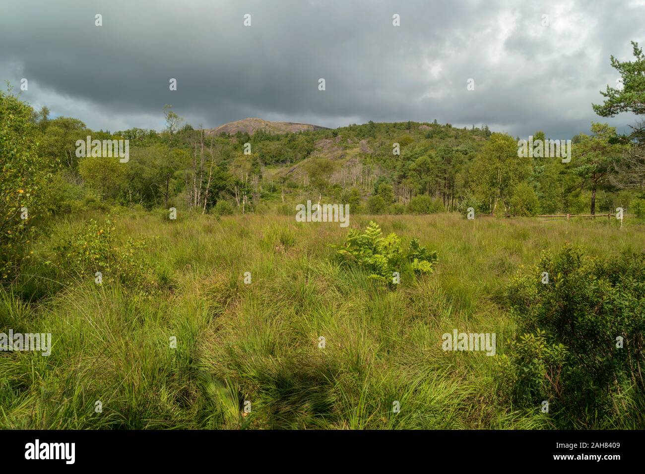 Image of Glengarriff Nature Reserve in County Cork, Ireland. Stock Photo