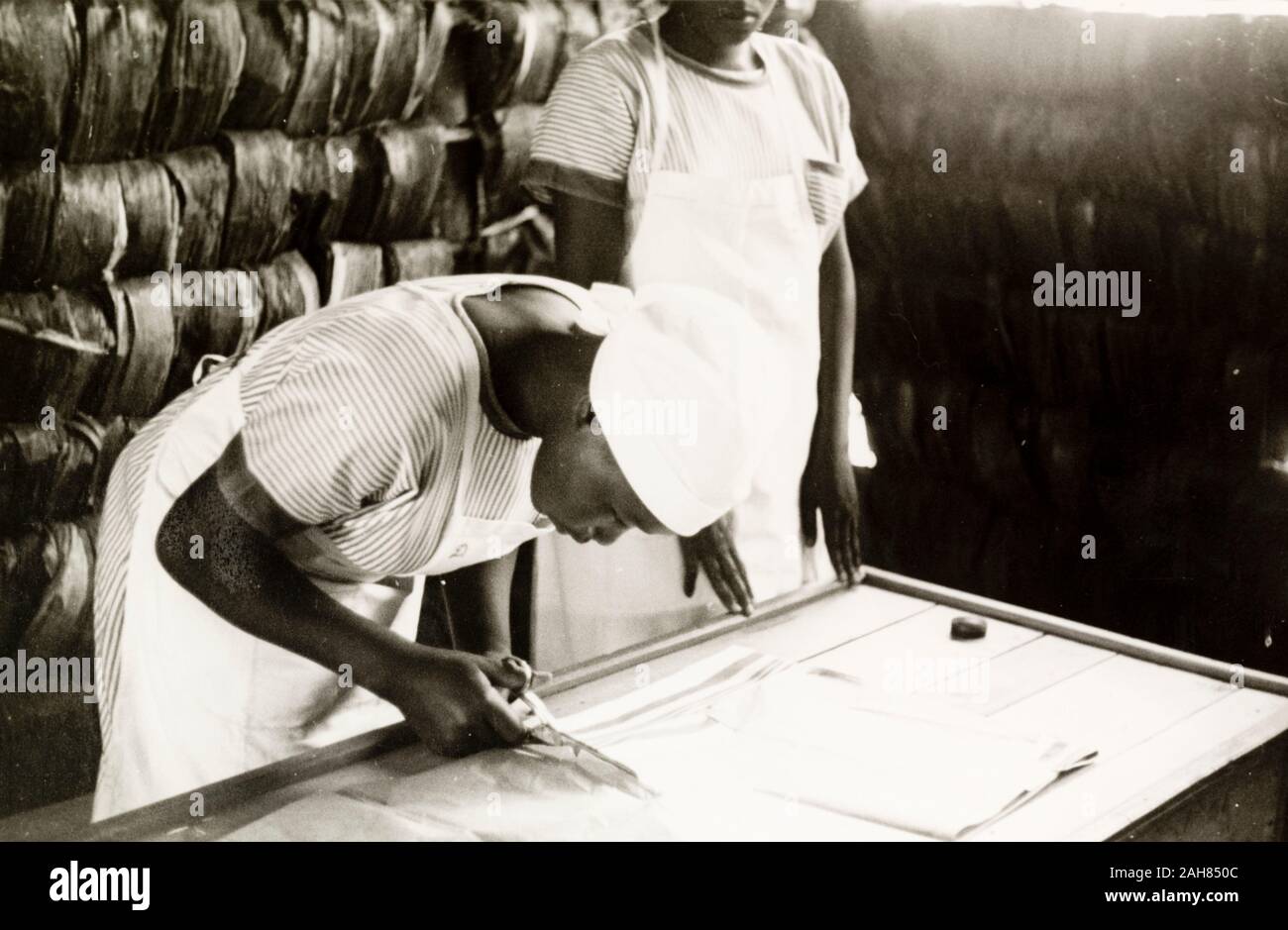 Kenya, A Kikuyu student of the Church of Scotland mission school bends over a bench as she carefully cuts a section of cloth with a pair of scissors. Original manuscript caption: Domestic skills include making garments for their children.Traditional Kikuyu clothing were cured goat skins.S. Nyeri 1936, 1937. 1995/076/1/2/5/50. Stock Photo