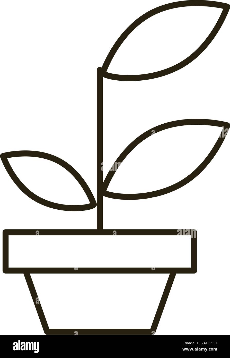 House plant in ceramic Stock Vector Images - Alamy