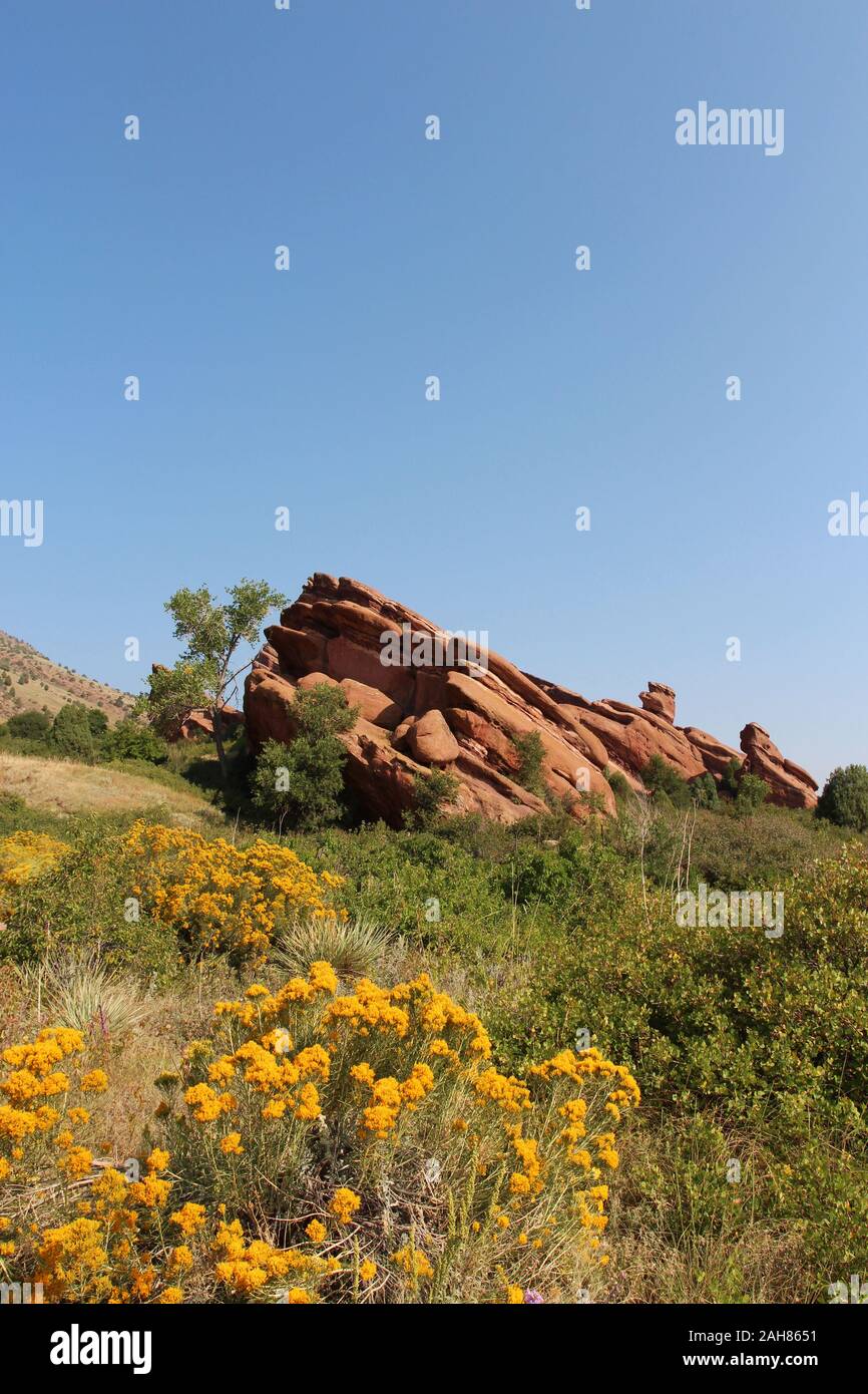 Red rock formations jutting out of the ground surrounded by shrubs ...