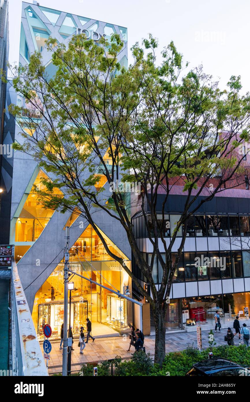 The Tod's store on Omotesando Avenue, Tokyo. Evening. Interior ...