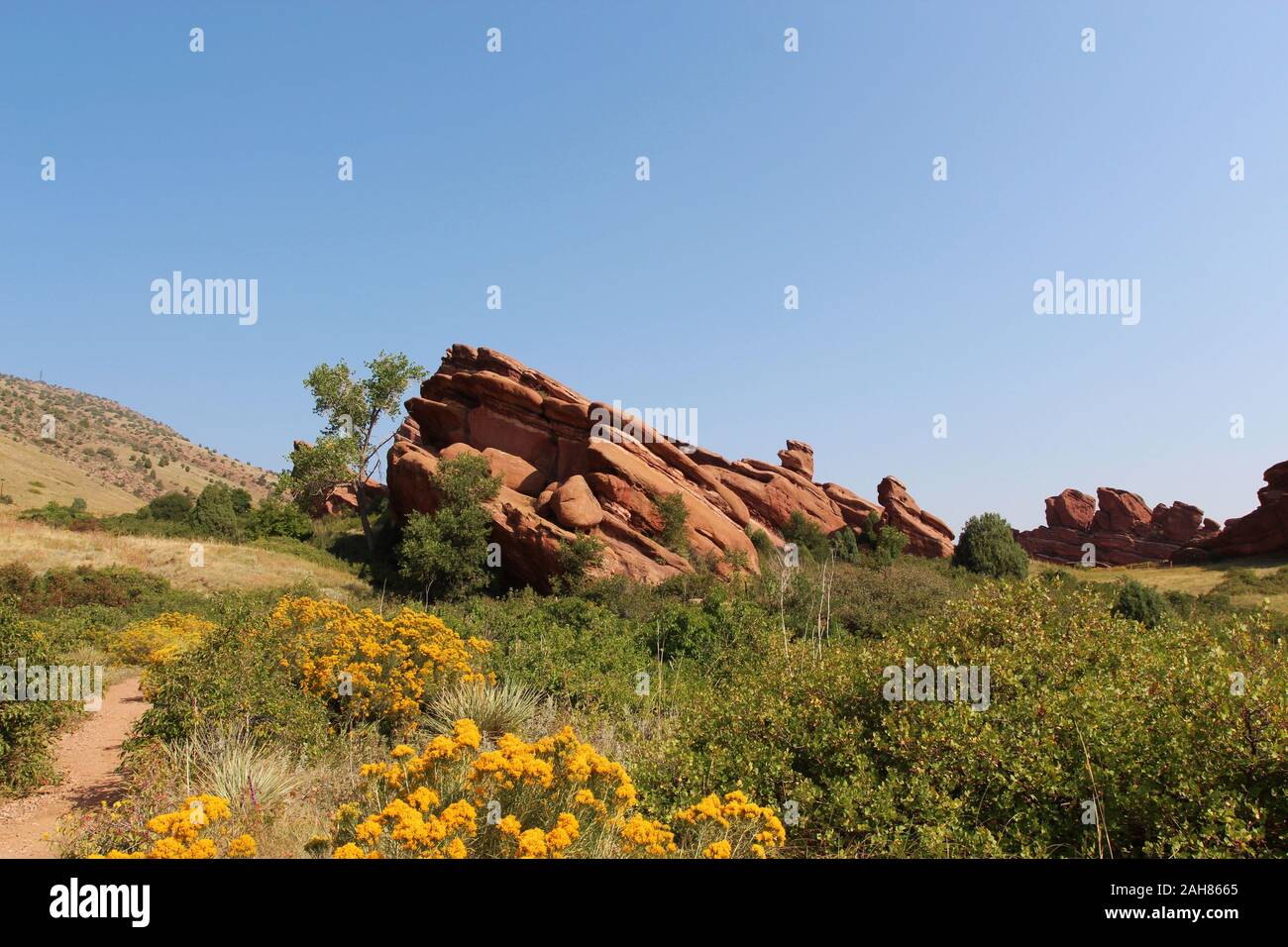 Red rock formations jutting out of the ground surrounded by shrubs ...