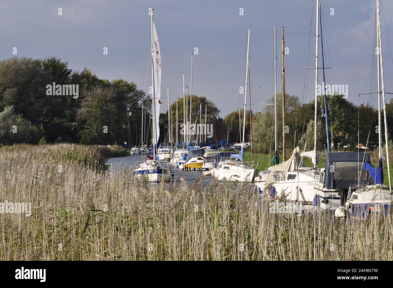 Upton Dyke off the River Bure, Norfolk Broads, Norfolk England UK Stock
