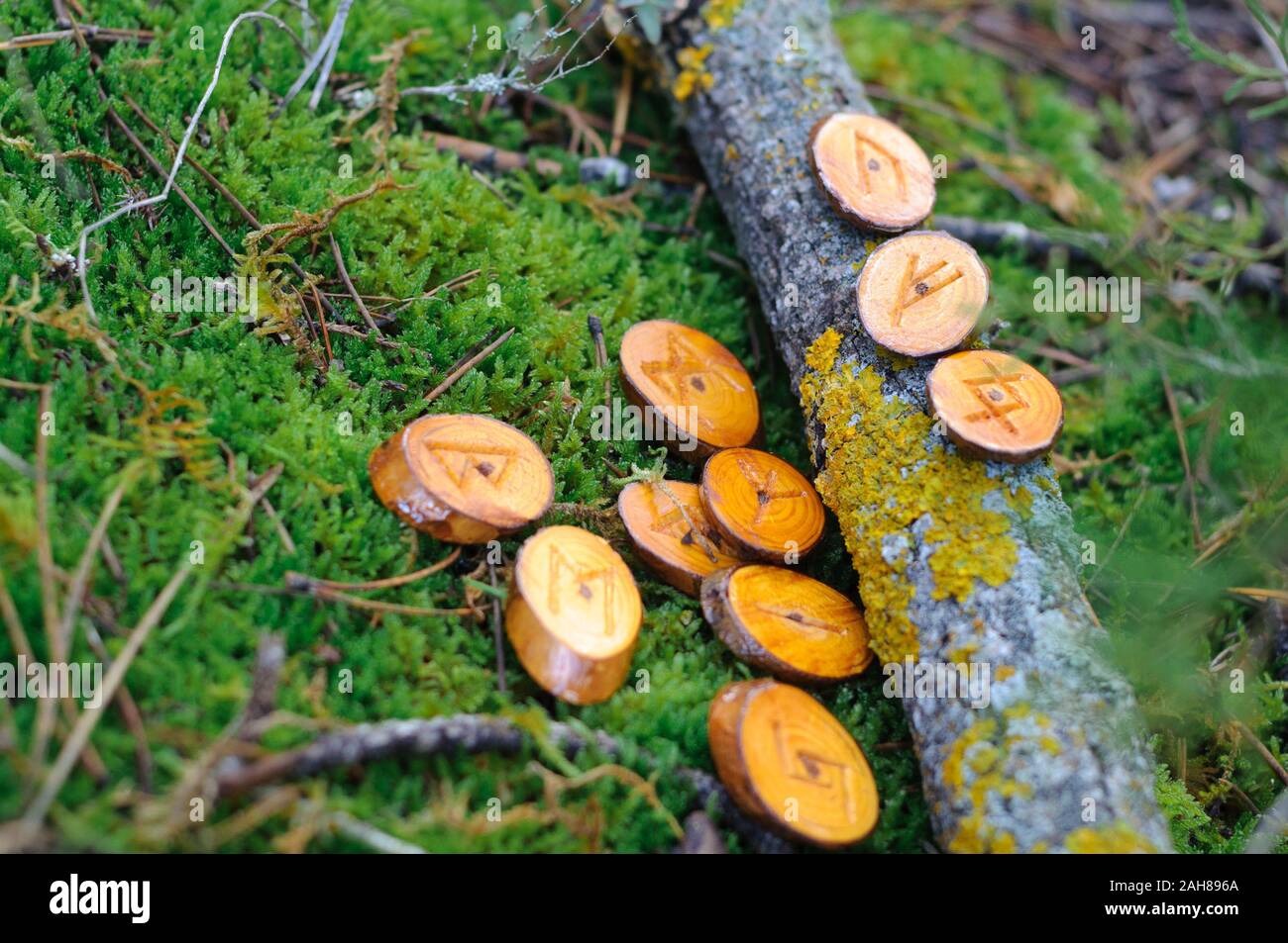 wooden homemade runes scattered on the green grass, moss Stock Photo ...