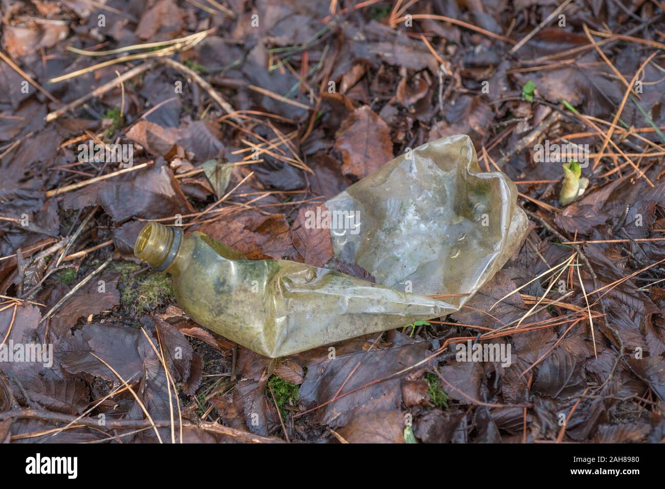 Very old plastic soft drinks bottle littering the countryside. Unknown branded bottle so RM editorial only. Single use plastic pollution concept. Stock Photo